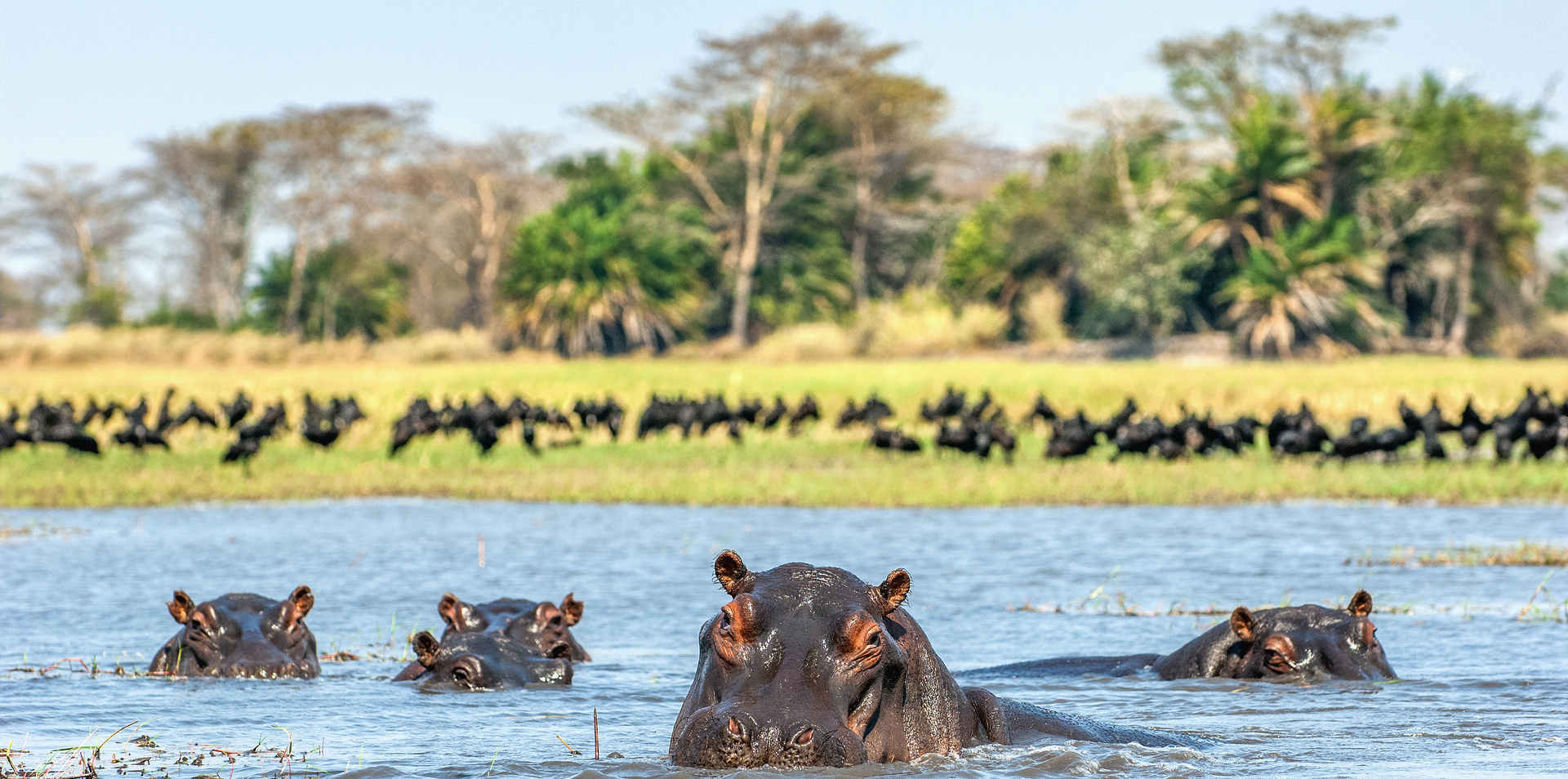 Botswana Under Canvas